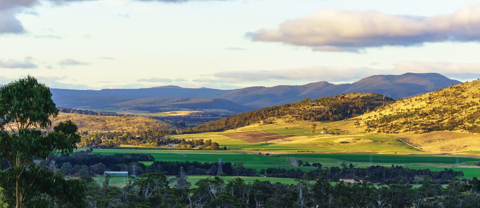 0UyrFjNPguiXSmPIoKOI