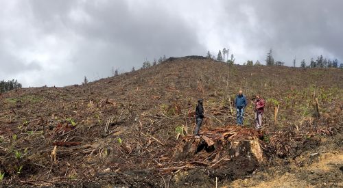 0YUDLlFP8kItpBI6If2Y