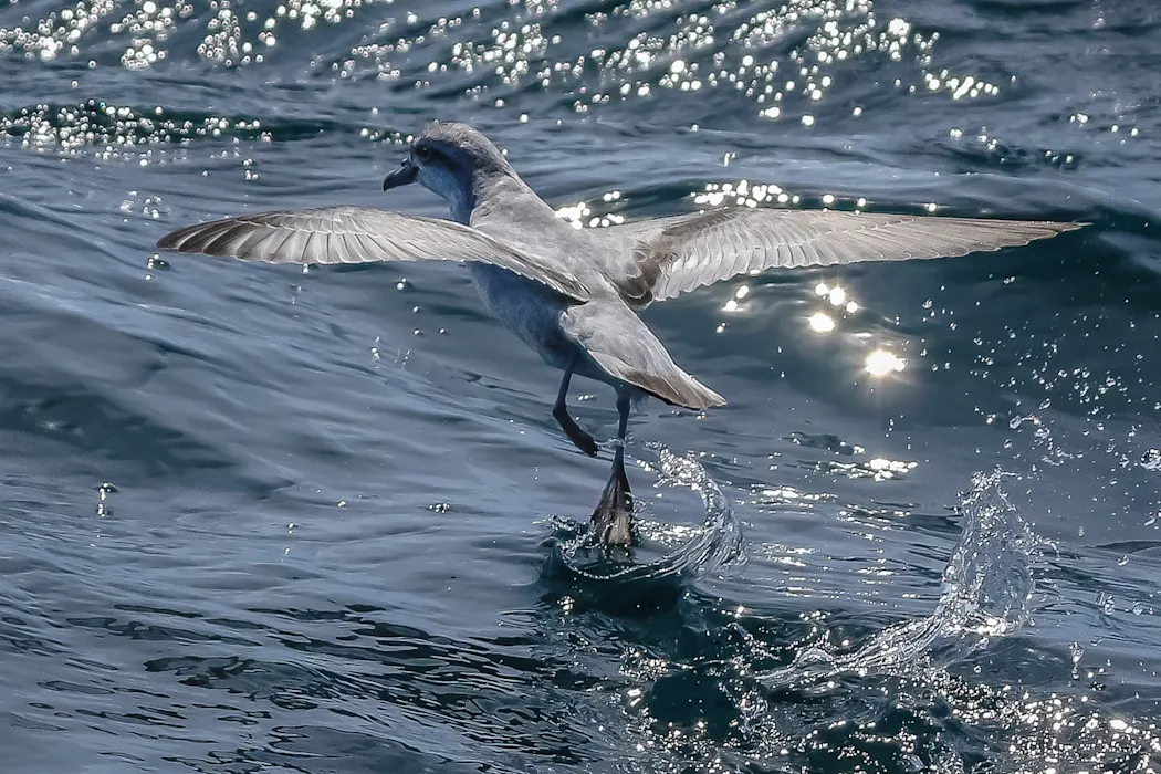 0s8xGPU6PNzwYg5YmNgj (1)