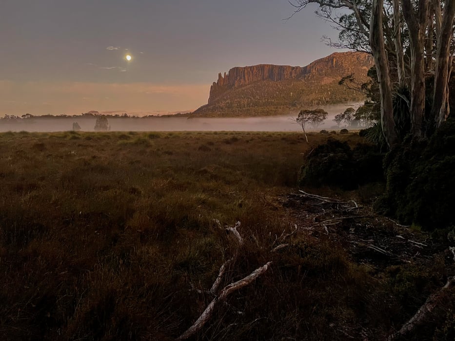 2LoEyJqZ25heMHvvOjGF