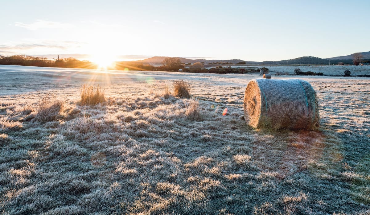 2SRwjAZiKWPiG6RBDnTc