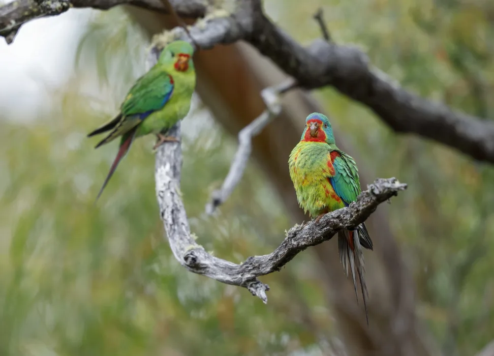 2sQsxsABK0okJQt68oir