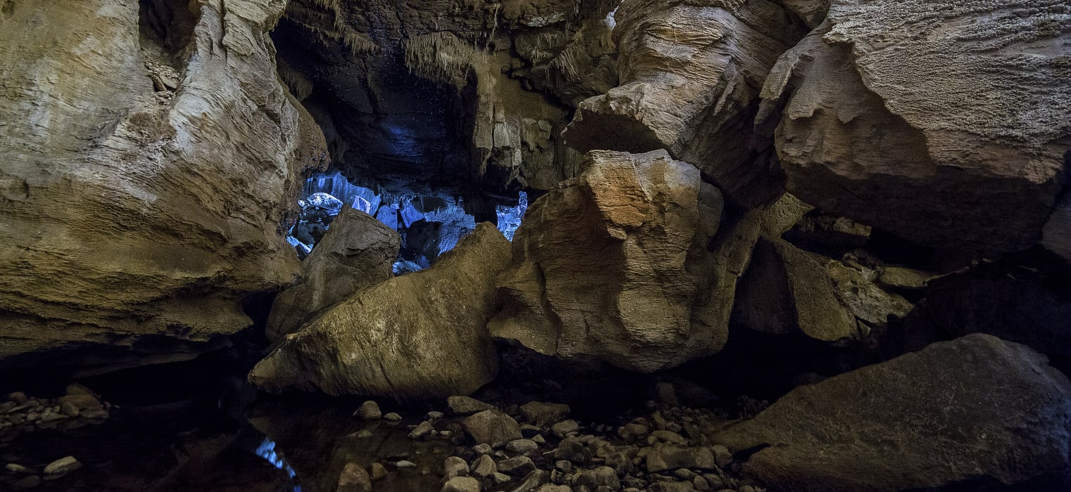 3SycUeeZ5dvuyMcO2DKP (2)