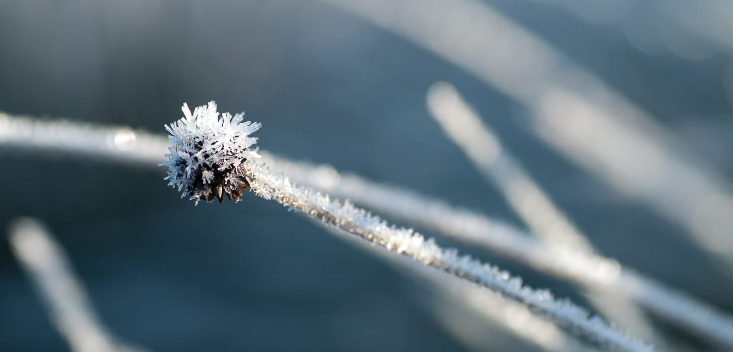 3iN268JQfTVWU6q7vzs9