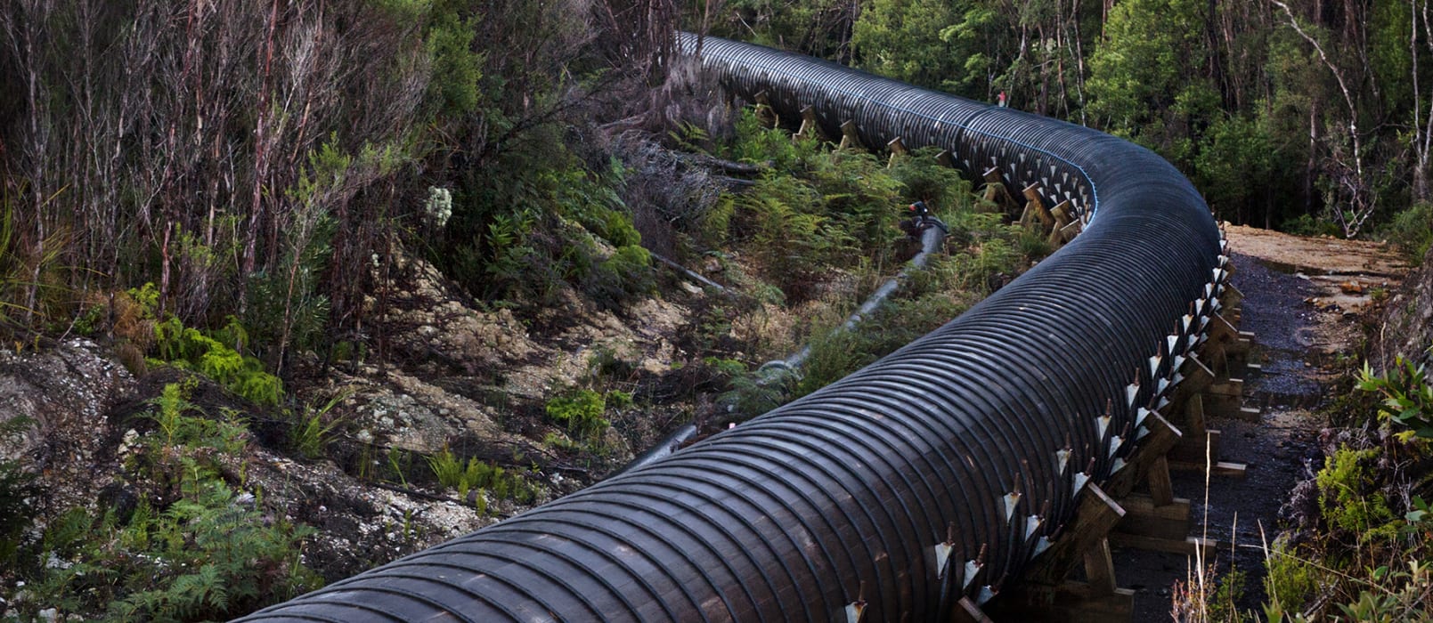 3n744Z1oKpC12VRmxwtI