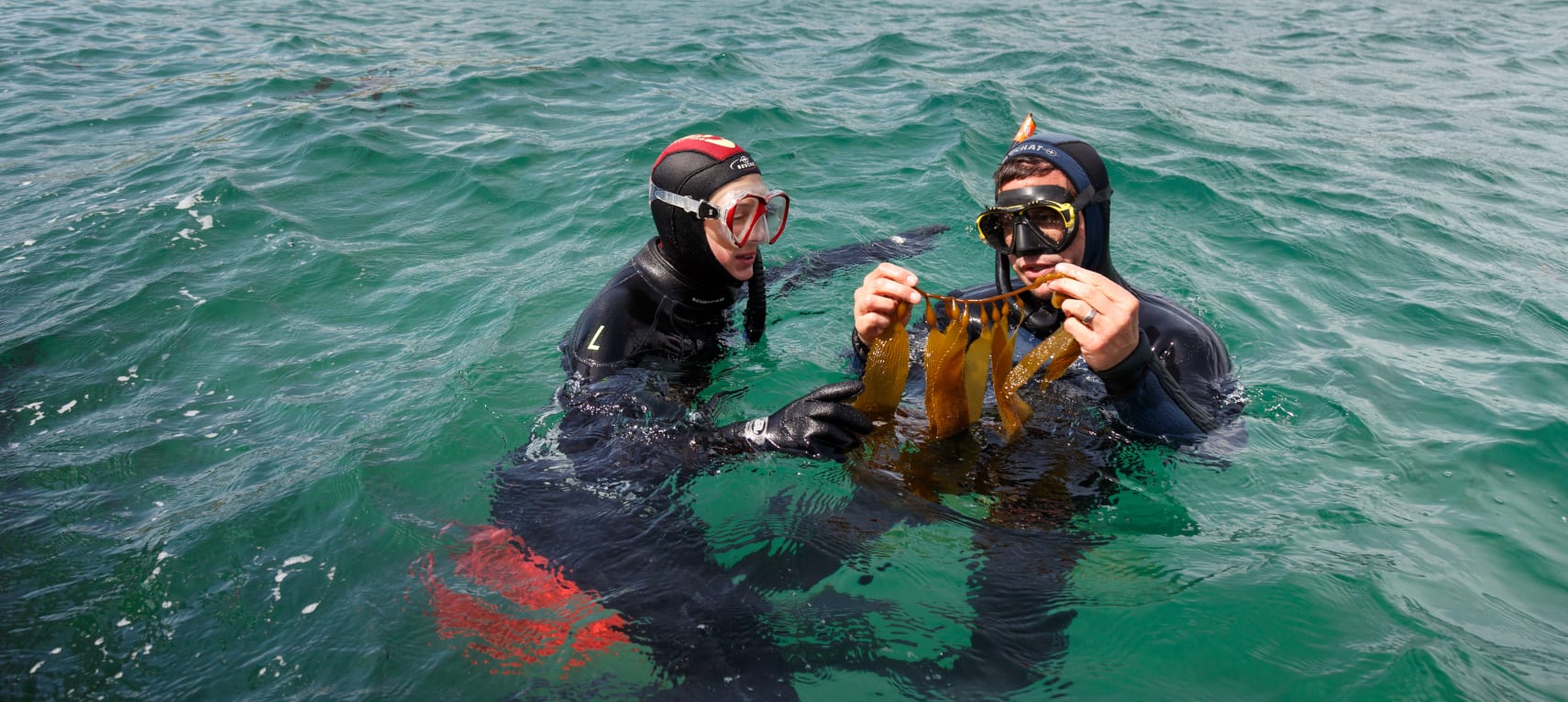 4zuWSkRYL1nfwBkTFQN4