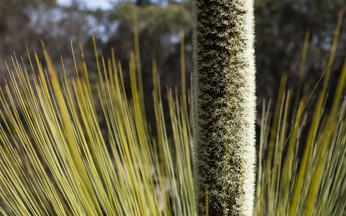 5EraNvwh3nnKjjhjMoHI