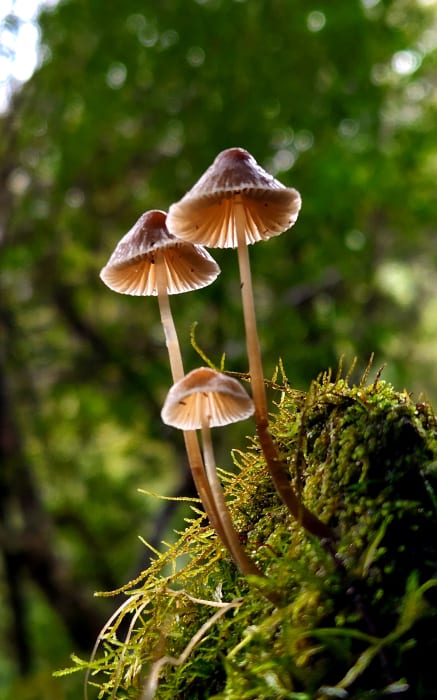 5L8QdDGwYmkXhNGyL5AU