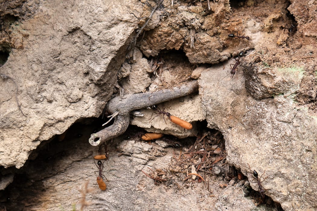 7wfdPYyjCdvnClh6xBtq