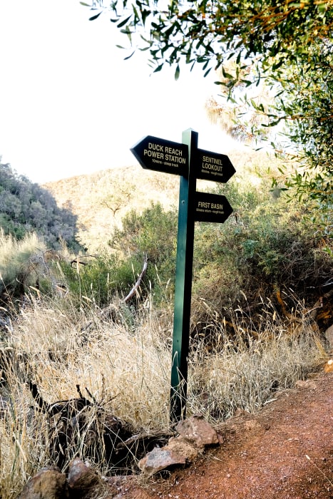 8KYtGWV24bHHvNWncyeM