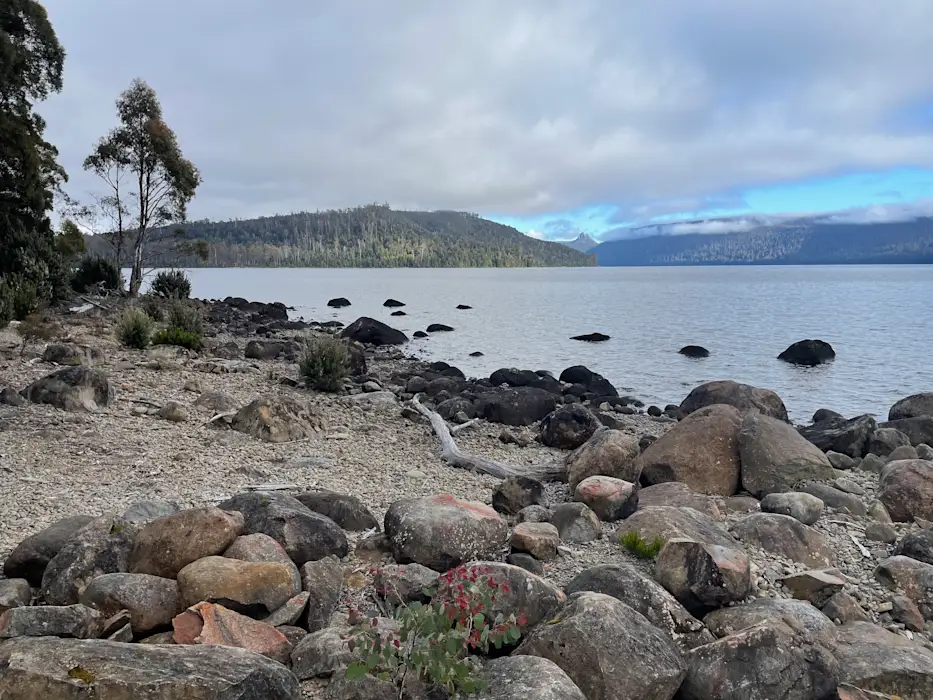 95RQNDVp7bdGVzA25BgD