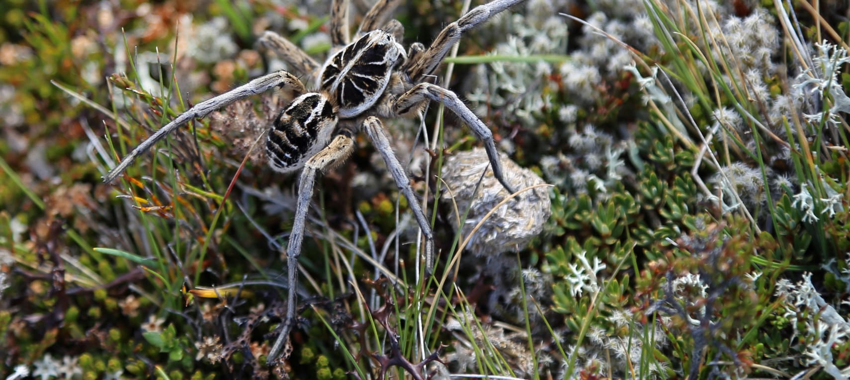 9OuAqNrMDw5lR5UhC94f