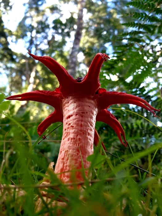 A2WPjDfGb09LK95z2yVo