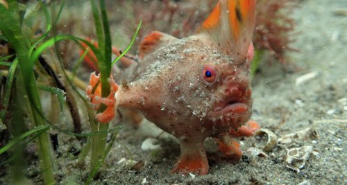 AHAlRQBNVi8fh7UNfRMe