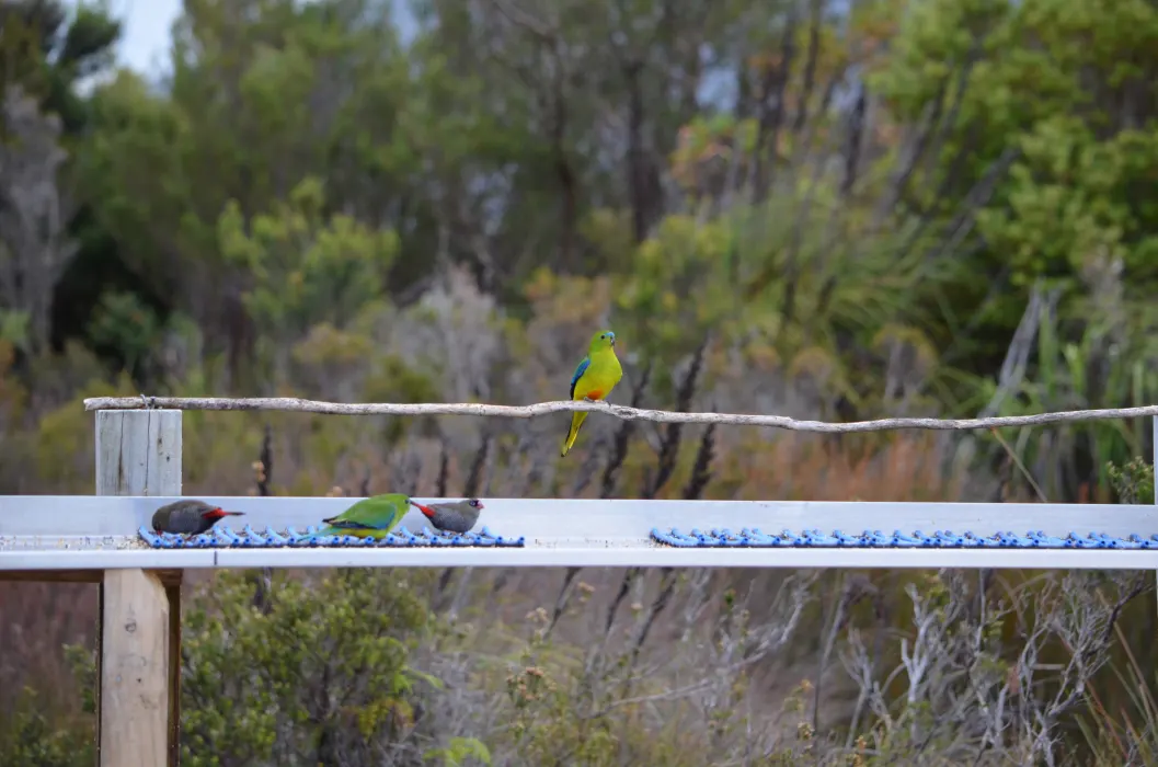 B33QKs21XtLuV4Y5MHaz