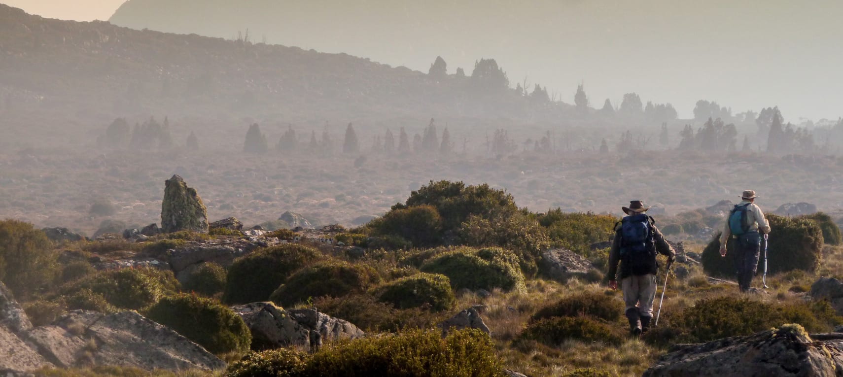 C1f8Qidsbpd1bQLgLlOz