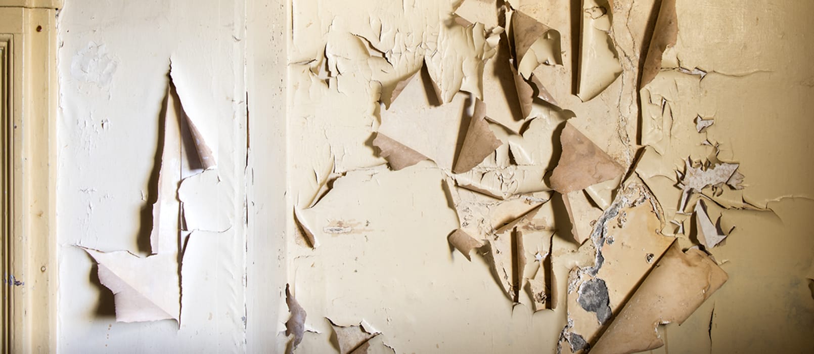 C7oir2IdB0b2KOWOi6LB