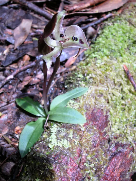 CCGwJikPBYGo22lhc9TU