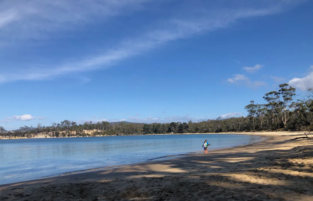 CFDshmXlFGRgru51AVcI