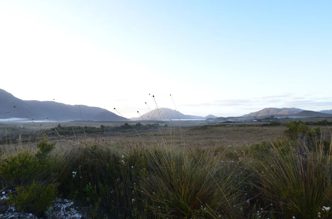 CwTLvS5dO0aiCUFDfaHC