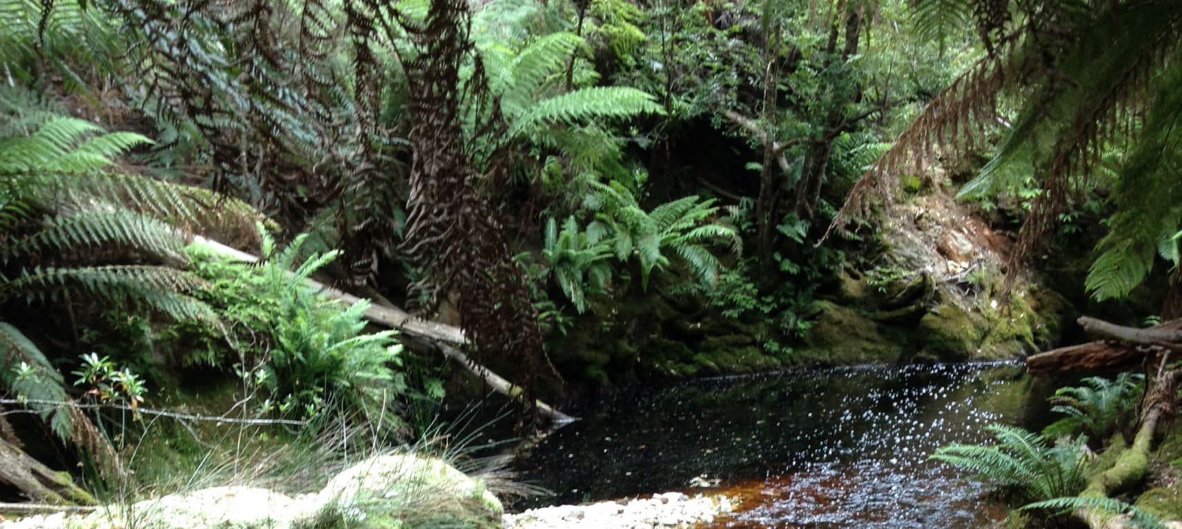 DLczCFtWGGShcItd5QIT