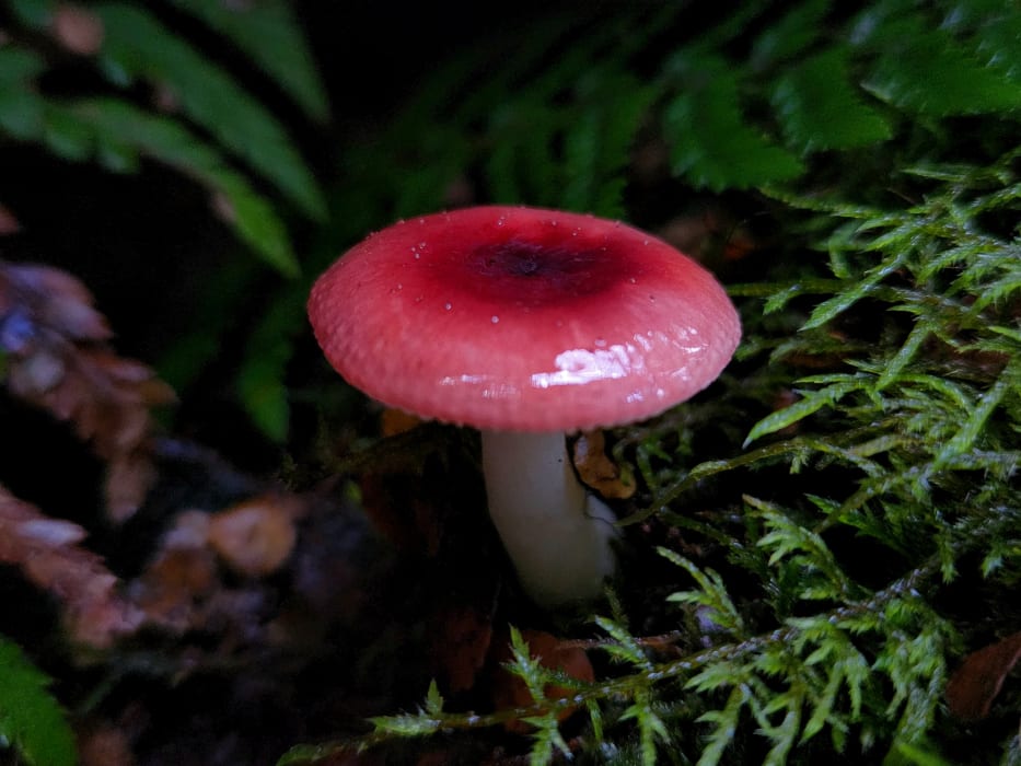 ELzr0sKS5rhMYB59bAsA