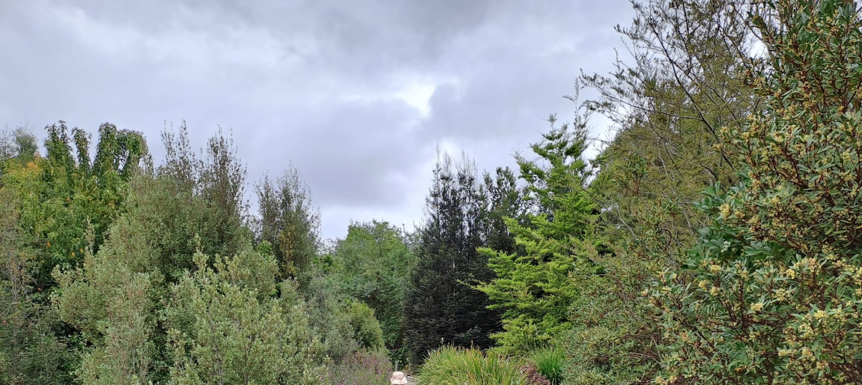 F5IEnkWtE0kqcitPFILX (1)