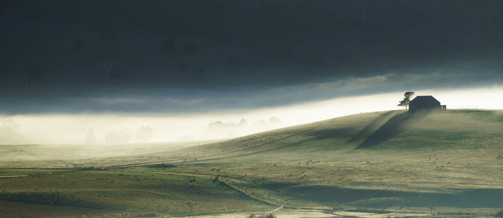 FWKMgpLycGDqsCzMFPaq