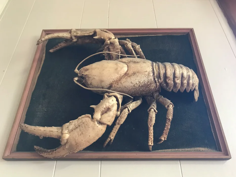 G5vt3dMFU7b3WRL3vA8x