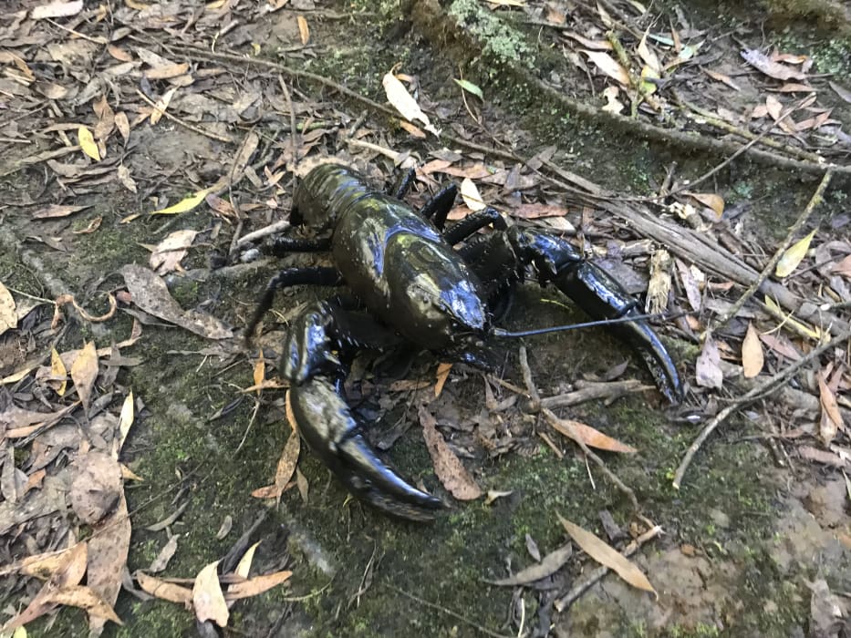 GXUHaDxJCSLiwpYXlkSv (3)