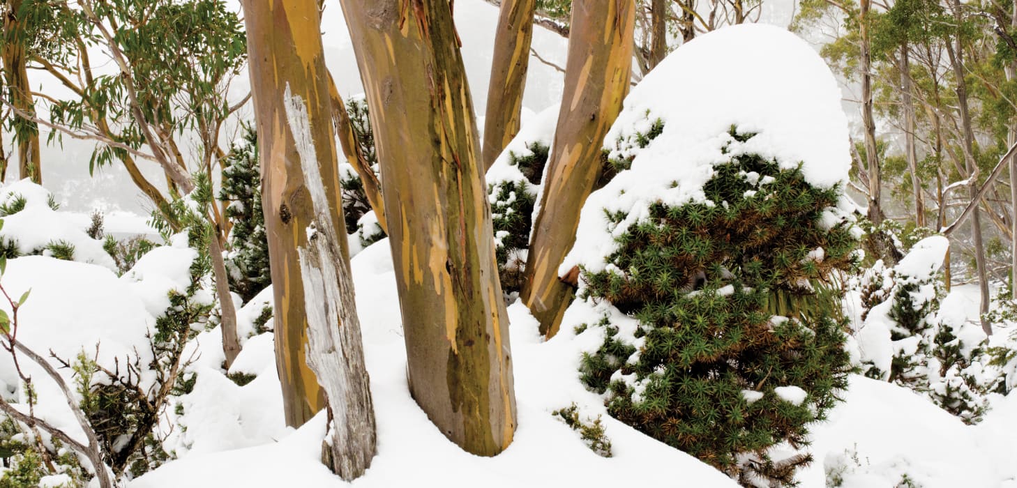 H0wI9Xi37Vmadpt4hvUd