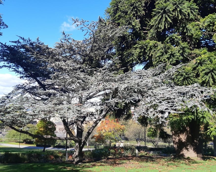 I385D5CdMj8ZAlRTDFe0 (1)