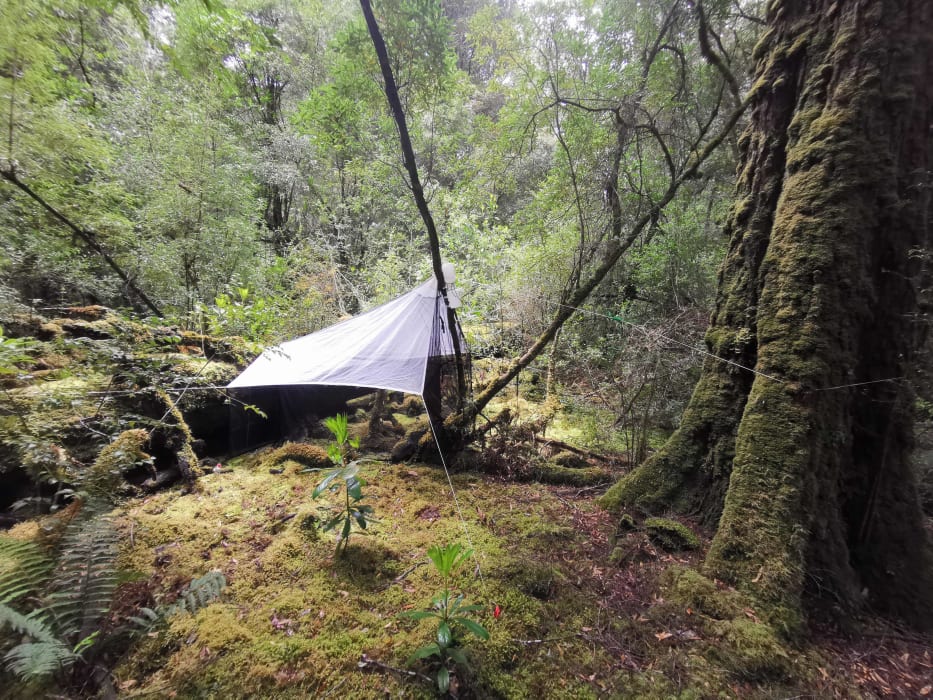 Ib3cZ4tR8m1dsTmzGPXD (1)