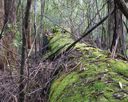 JS0PN0a0F2T1fP9p7zqx