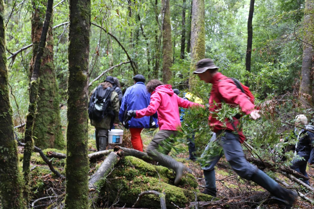 JhEn9NcA5300yTQpq0Dr