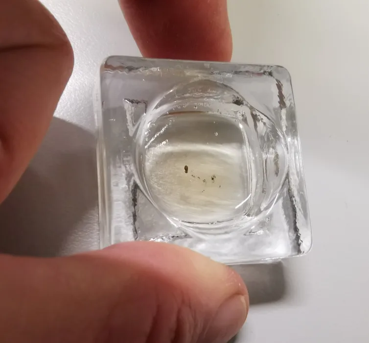 KcgS3mYXVFM1ksEuICou