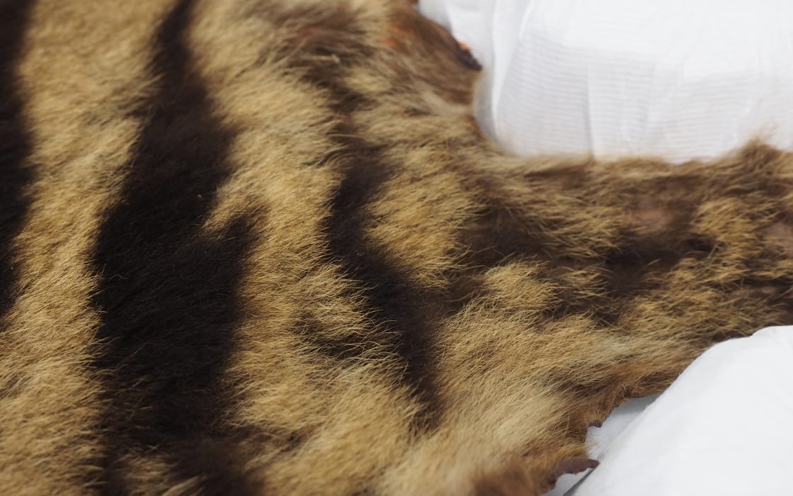 LYdI14LqKDu0s6nwaEtN