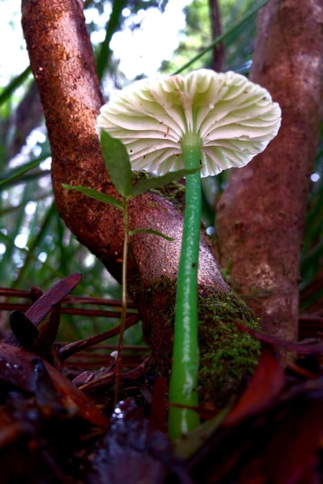 MjGcH99VyP91C05lYRMO