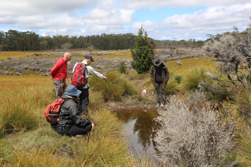 Mq9Vo8bVXjUxjg9cLExR