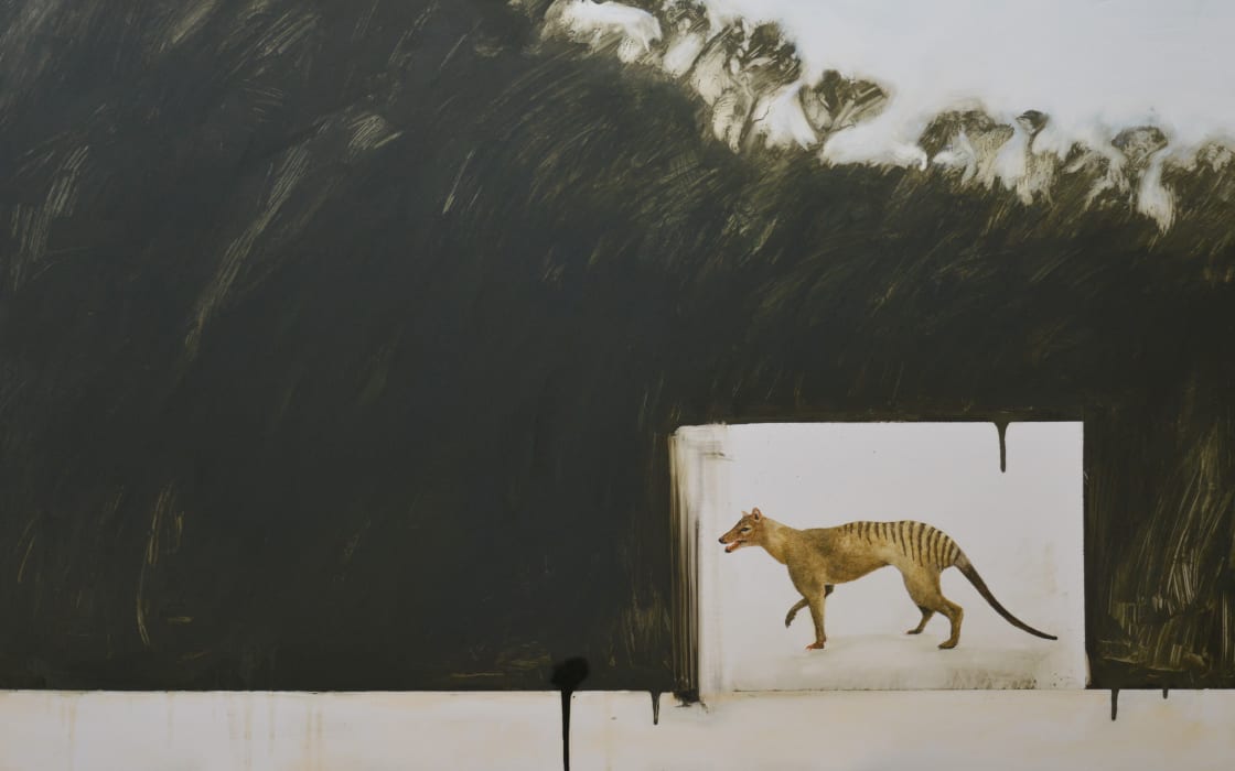 NjqTBfsKGB5Z8EI8HP6w