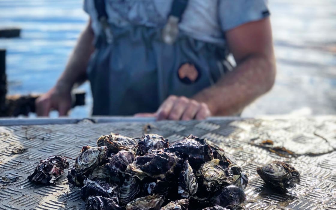 ODLTuzXCwYm2uRzUmFsA