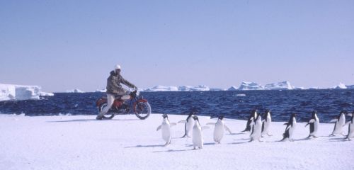 PXbbWdTxbBx8NV6482id