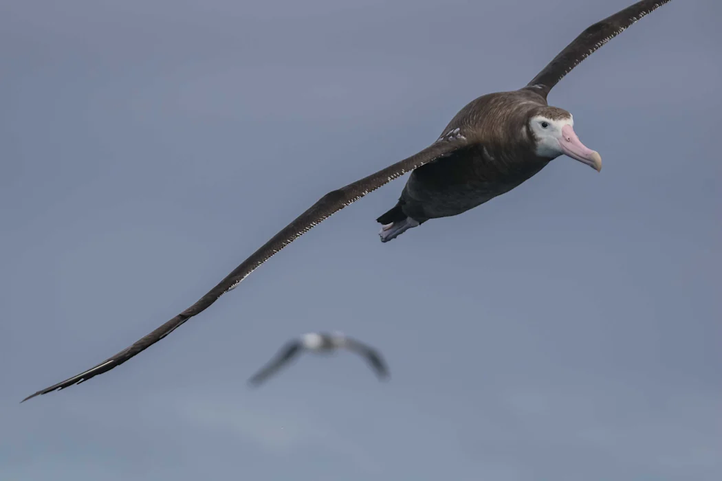 Qru9m60iFbKrYUIiK5qA