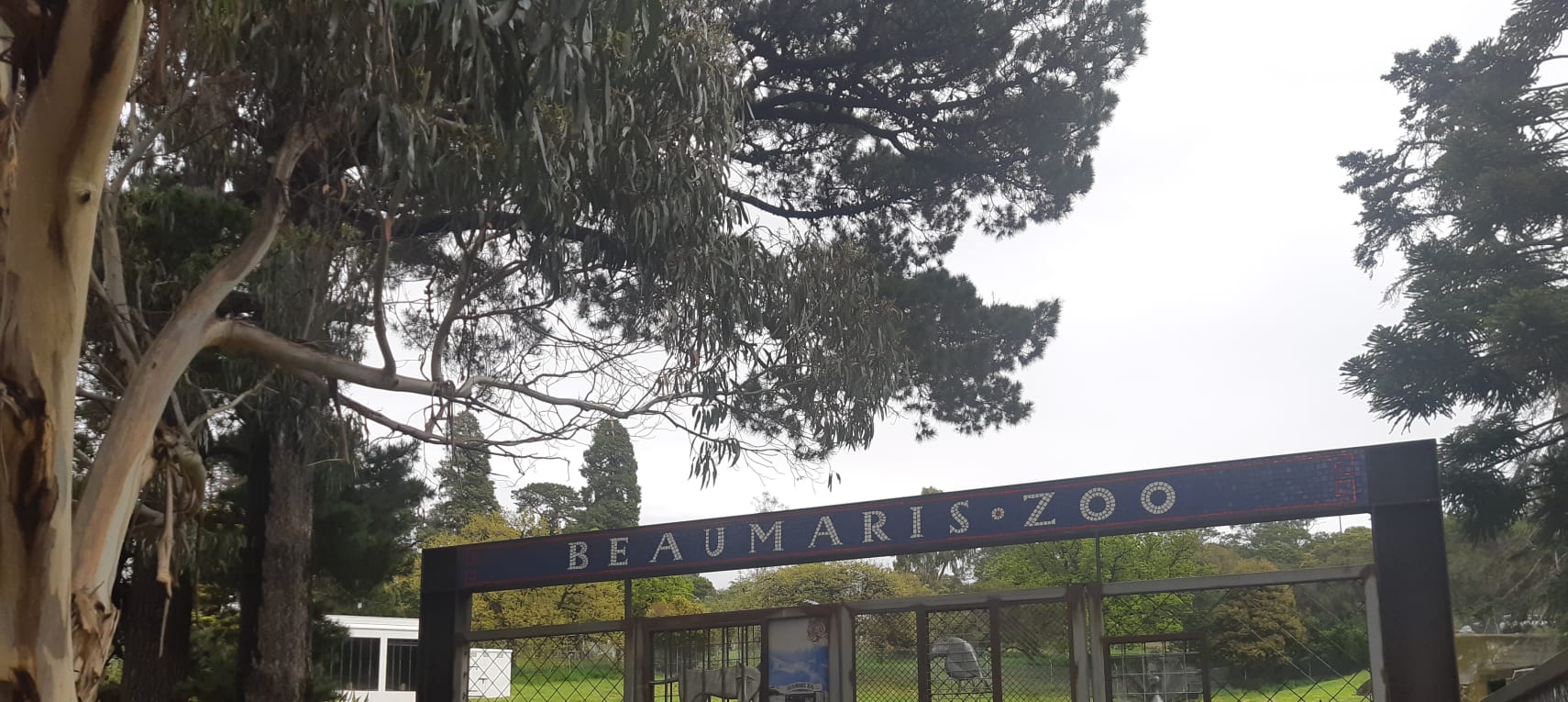 Rsnq99rc2ubrMXRsPrpE