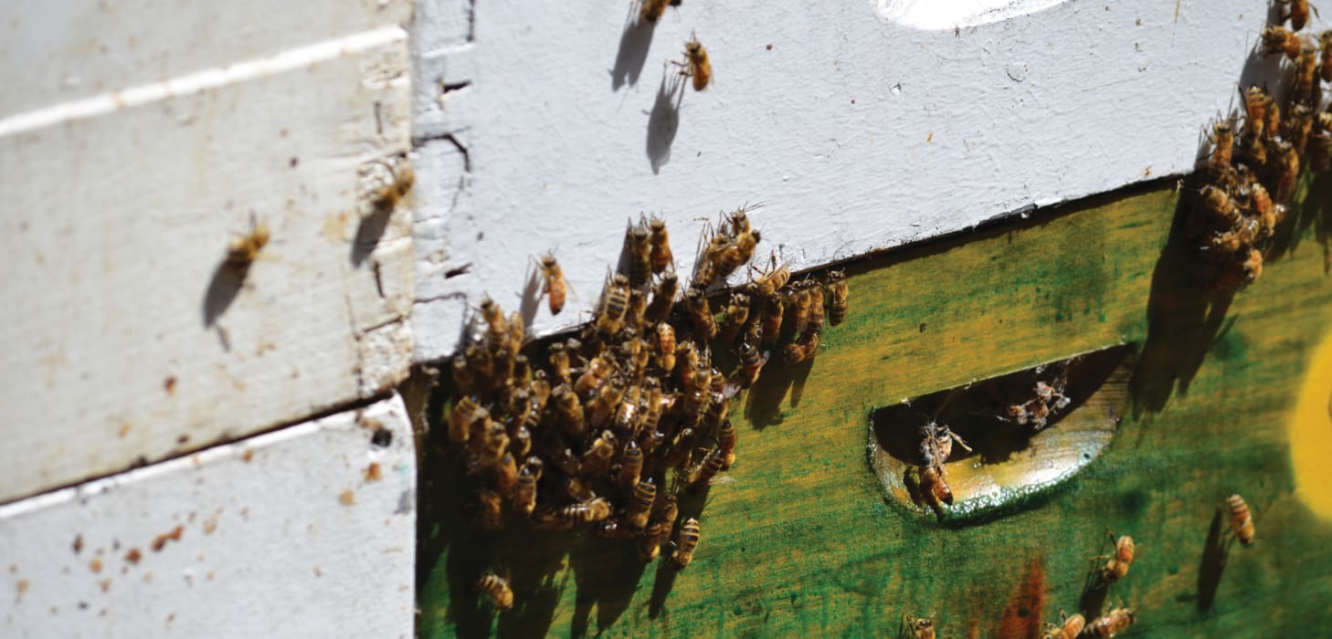 SOtS2jy7EhDPtl0DsgFc