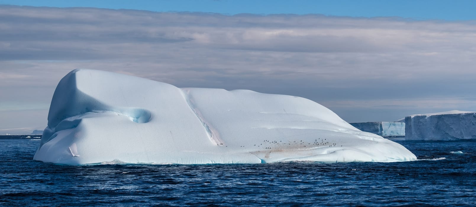 TGoDk5MyIsiLFzLs8MfR (1)