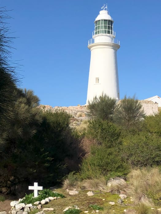 TdCyHaPsoMAEDs55kcC5