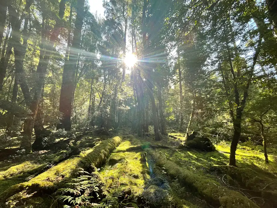 TxxrnvCTdEeTp3znmudX