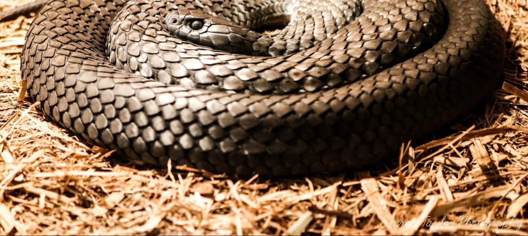 U86B4CKAnbWOIzcMWVFP (1)