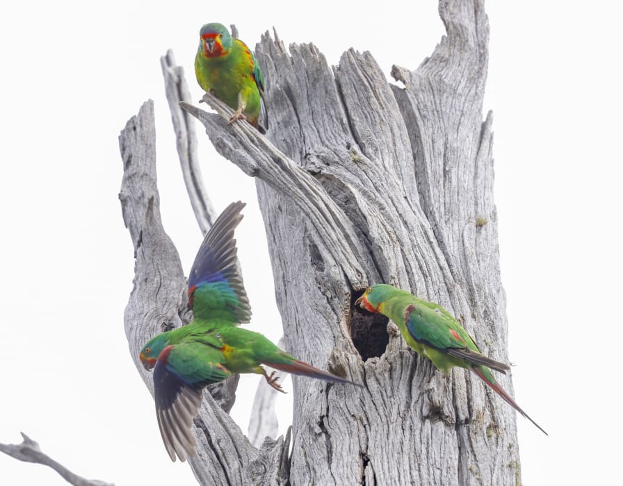 UDTn4JBK14fE7fDo677m (1)